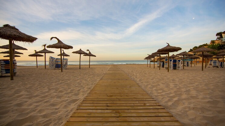 Be Live Experience Costa Palma